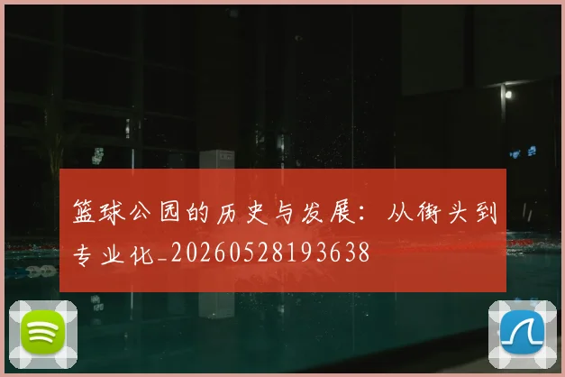 篮球公园的历史与发展:从街头到专业化_20260528193638