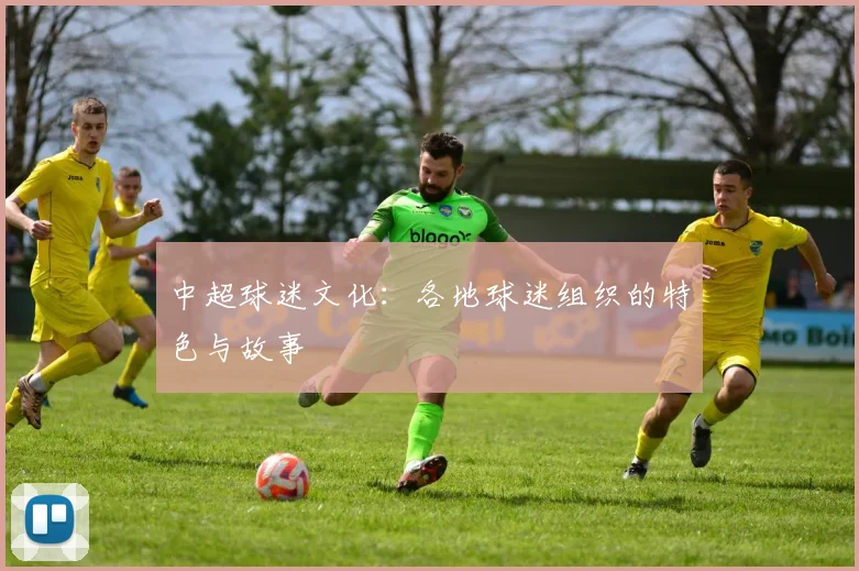 中超球迷文化:各地球迷组织的特色与故事