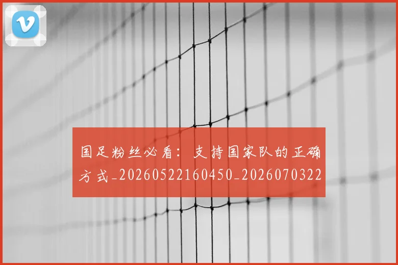 国足粉丝必看：支持国家队的正确方式_20260522160450_20260703224341